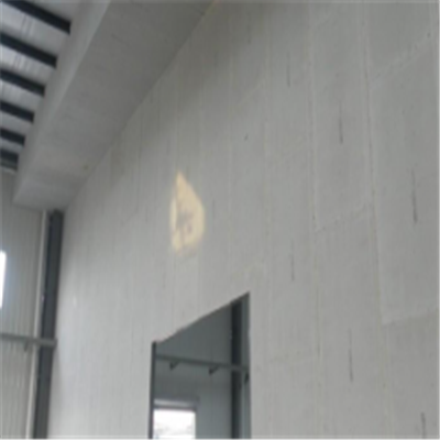 余江宁波ALC板|EPS加气板隔墙与混凝土整浇联接的实验研讨